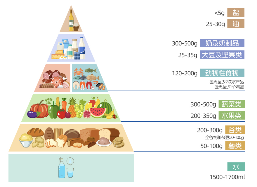 跟着“居民平衡膳食宝塔”学习如何合理搭配每日餐食