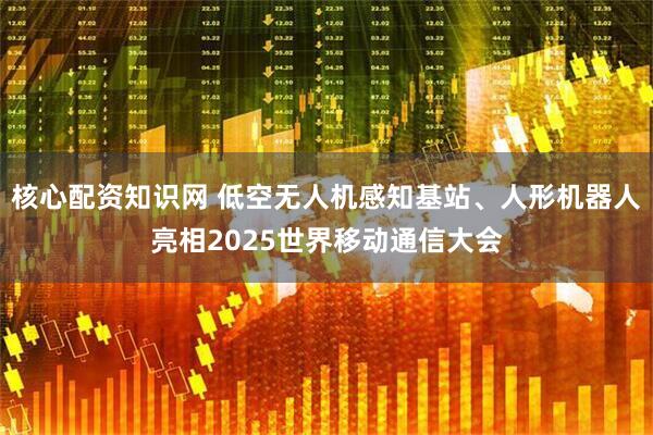 核心配资知识网 低空无人机感知基站、人形机器人亮相2025世界移动通信大会