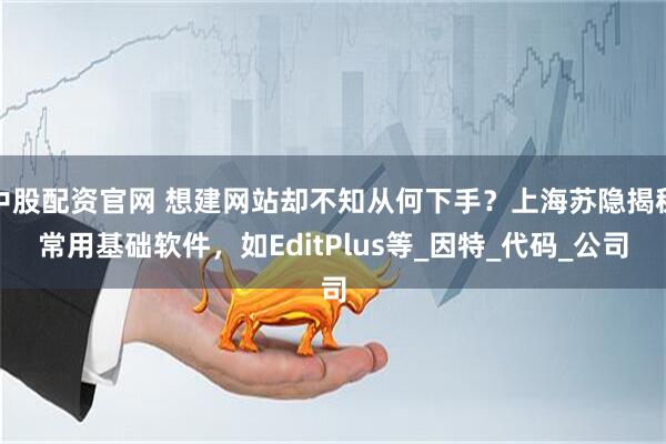 中股配资官网 想建网站却不知从何下手？上海苏隐揭秘常用基础软件，如EditPlus等_因特_代码_公司