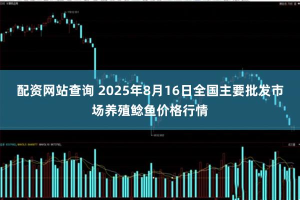 配资网站查询 2025年8月16日全国主要批发市场养殖鲶鱼价格行情